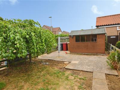 Picture 13